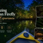 Amazing Bintan Firefly Tour Experience - Best Bintan Day Tour From Singapore - Personalized Bintan Tour Package Custom Bintan Tour with Local Driver - Bintan Island tour with trusted local driver, featuring Lagoi Bay, Treasure Bay, Blue Lake, luxury resorts and beautiful beaches in Bintan Indonesia - private driver bintan - ferry terminal transfer bintan - resort hotel transfer in bintan - bintan island tour - Bintan Mangrove Tour - bintan tour package - bintan day tour from singapore