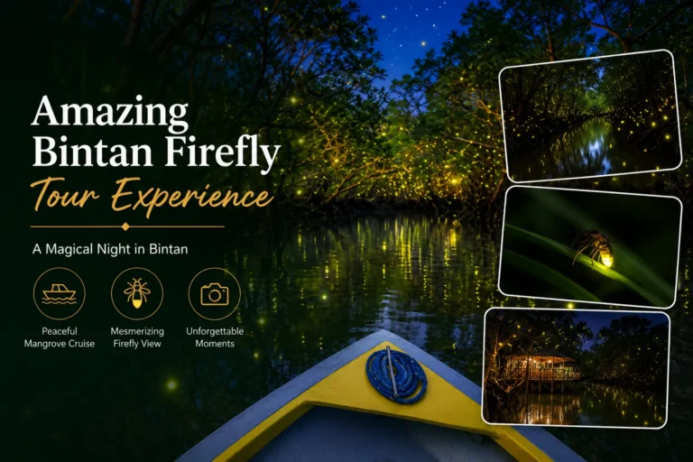 Amazing Bintan Firefly Tour Experience - Best Bintan Day Tour From Singapore - Personalized Bintan Tour Package Custom Bintan Tour with Local Driver - Bintan Island tour with trusted local driver, featuring Lagoi Bay, Treasure Bay, Blue Lake, luxury resorts and beautiful beaches in Bintan Indonesia - private driver bintan - ferry terminal transfer bintan - resort hotel transfer in bintan - bintan island tour - Bintan Mangrove Tour - bintan tour package - bintan day tour from singapore
