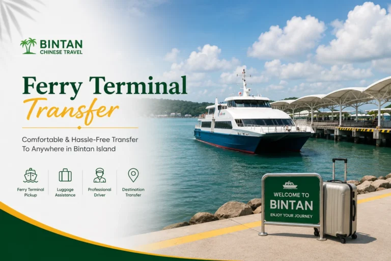 Private driver and ferry transfer service in Bintan Island, providing transportation from ferry terminal to resorts, hotels and tourist destinations - bintan firefly tour - Best Bintan Tour Package for Families